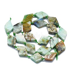 Natürliche Chrysokolla und Lapislazuli Perlen&nbsp;G-K245-E05-B02