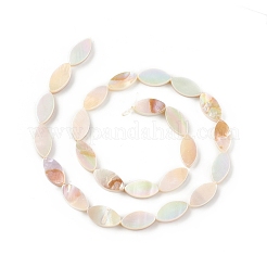 Natürlichen Süßwasser-Muschelperlen Stränge&nbsp;X-SHEL-T009-22