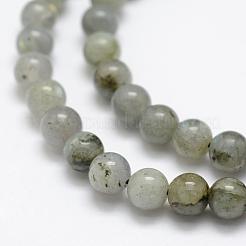 Perline labradorite naturale fili&nbsp;G-P322-29-6mm