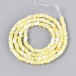 Fili di perle di conchiglia trochid naturale / trochus&nbsp;SSHEL-N040-21G