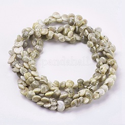 Naturali di mare shell perle fili&nbsp;BSHE-K012-05