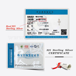 925 Sterlingsilber-Mikropavé-Anhänger mit klaren kubischen Zirkonia&nbsp;SE-CBA9BBC-01P