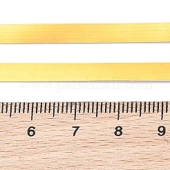 Bandes de chant en plastique pvc&nbsp;AJEW-WH0010-62A-01