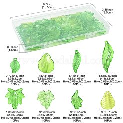 80pcs 8 Arten transparente Acrylanhänger&nbsp;OACR-FS0002-34