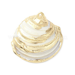 Pendenti naturali di guscio di mare&nbsp;SHEL-F005-06LG