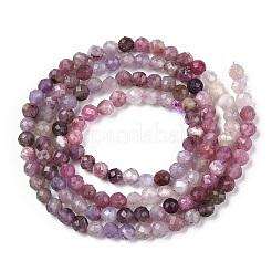 Bolas de Piedras Preciosas mixta naturales hebras&nbsp;G-D080-A01-02-11