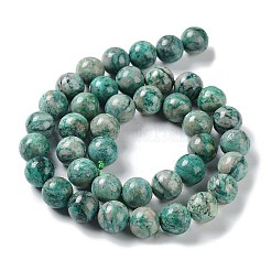 Natur Chrysokoll Perlen Stränge&nbsp;G-C093-A01-03