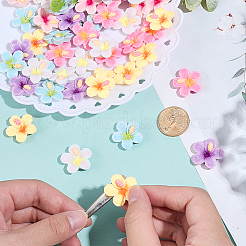 60pcs cabochons en plastique 6 couleurs&nbsp;KY-SC0002-54B