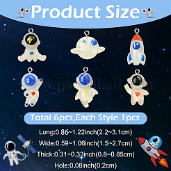 6pcs 6 styles de pendentifs en résine&nbsp;RESI-YW0005-67