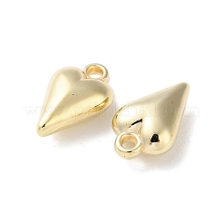 Pendentifs en plastique CCB&nbsp;CCB-C001-04G