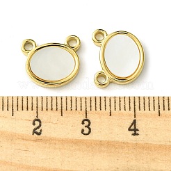 Ionenplattierung (IP) 304 Edelstahl Pavé Muschel Bär Charms&nbsp;FIND-Z028-14G