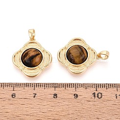 Natürlichen Tigerauge Anhänger&nbsp;KK-N287-05G-02