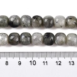Perline labradorite naturale fili&nbsp;G-T138-143