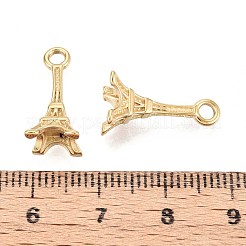 Ciondoli in acciaio inox 304&nbsp;STAS-N109-258G
