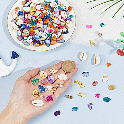 DIY-Armband-Kits aus gefärbten natürlichen Muschelperlen&nbsp;BSHE-PH0001-65
