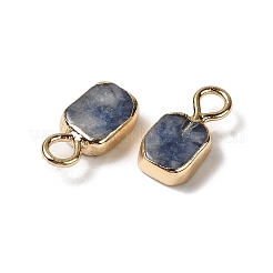 Natürliche blaue Fleck Jaspis Rechteck Charms&nbsp;G-Q169-07G-02