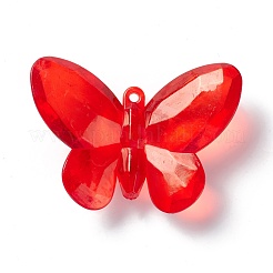 Transparenten Acryl-Anhänger&nbsp;TACR-K002-07