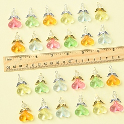 40 Stück 10 Farben Acrylglas Anhänger&nbsp;PALLOY-FS00018