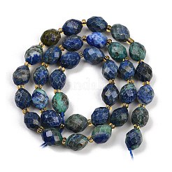 Natürliche Chrysokolla und Lapislazuli Perlen&nbsp;G-N342-149I-24
