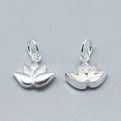 Encantos de plata 925 esterlina&nbsp;STER-T002-117S