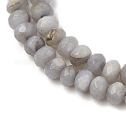 Fili di perline tinti in conchiglia naturale d'acqua dolce&nbsp;SHEL-R100-13A-04