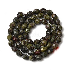 Naturdrachenblut Perlen Stränge&nbsp;G-K376-F02-01