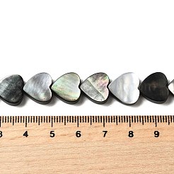 Natur schwarz Lippe Shell Perlen Stränge&nbsp;BSHE-D300-06A