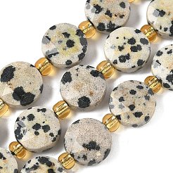 Natur Dalmatiner Jaspis Perlen Stränge&nbsp;G-G271-C01-10mm