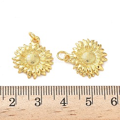 Pendente in ottone&nbsp;KK-I381-02G