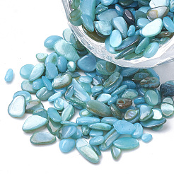 Perle di guscio&nbsp;SHEL-R020-08