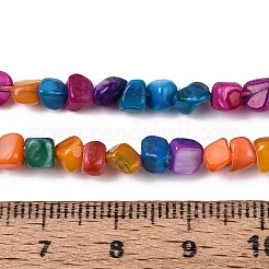 Naturali di acqua dolce perline shell fili&nbsp;SHEL-N037-04B
