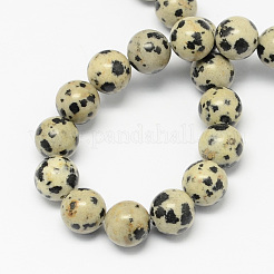 Dalmata naturale fili di perline pietra di diaspro&nbsp;X-G-R193-14-4mm