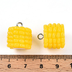 Pendentifs en fer et résine&nbsp;RESI-T057-23