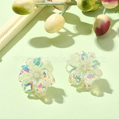 Boucles d'oreilles à tige en résine phosphorescente avec épingles en acier inoxydable 304&nbsp;EJEW-JE05359-02