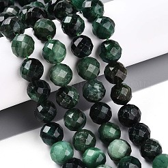Brins de perles fuchsite naturelles&nbsp;G-S345-10mm-33