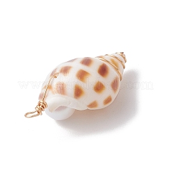 Pendenti di conchiglia naturale 3 pz&nbsp;PALLOY-JF03226-01