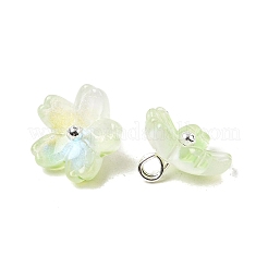 Charms in vetro&nbsp;GLAA-G127-05B