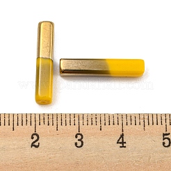 Perles en verre electroplate&nbsp;GLAA-D024-02B