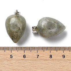 Natur Labradorit Anhänger&nbsp;GG-K002-13M