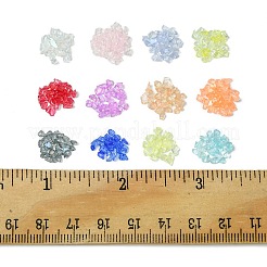 48 g 12 Farben transparentes galvanisiertes zerkleinertes Glashandwerk&nbsp;GLAA-FS0001-65