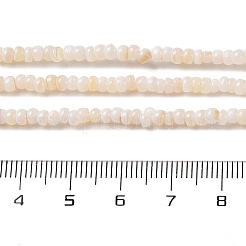Natürlichen Süßwasser-Muschelperlen Stränge&nbsp;X-SHEL-P017-01B-02