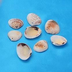 Natural Clam Shell Beads, Seashell Color, 20~32x21~37x5~10mm, Hole: 1.5mm