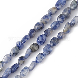 Natürliche blaue Fleck Jaspis Perlen Stränge, Chip, 6~10x5~7x5~7 mm, Bohrung: 0.9 mm, ca. 56~59 Stk. / Strang, 15.35'' (39 cm)