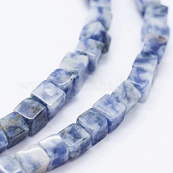 Perles de jaspe tache bleue naturelle, cube, 4~4.5x4~4.5mm, Trou: 1mm, Environ 88 pcs/chapelet, 15.9 pouce