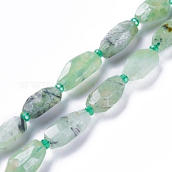 Natural Prehnite Beads Strands, Faceted, Nuggets, 20.5~29.5x12~15.8x11.3~14mm, Hole: 2.5mm, about 13pcs/strand, 15inch(38.3cm)