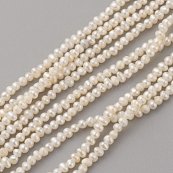 Fili di perle di perle d'acqua dolce coltivate naturali, patata, bianco antico, 3~3.5x2.3~2.6mm, Foro: 0.5 mm, circa 168pcs/filo, 15.1 pollice (38.5 cm)