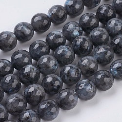 Natürliche Larvikit-Perlenstränge, facettiert, Runde, Grau, 10 mm, Bohrung: 1 mm, ca. 38 Stk. / Strang, 15.75 Zoll