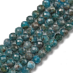 Chapelets de perles en apatite naturelle, facette, ronde, 4mm, Trou: 1mm, Environ 95 pcs/chapelet, 15.35 pouce (39 cm)
