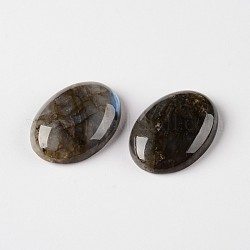 Labradorite naturelle pierres précieuses ovales cabochons, grade AB, 50x40x10mm