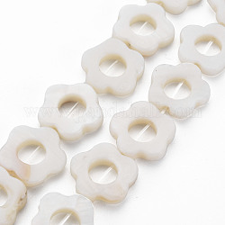 Perles de coquille d'eau douce cadres brins, teinte, fleur, blanc, 14.5~15x15~16x2.5mm, Trou: 1mm, Environ 23 pcs/chapelet, 13.19 pouce (35 cm)